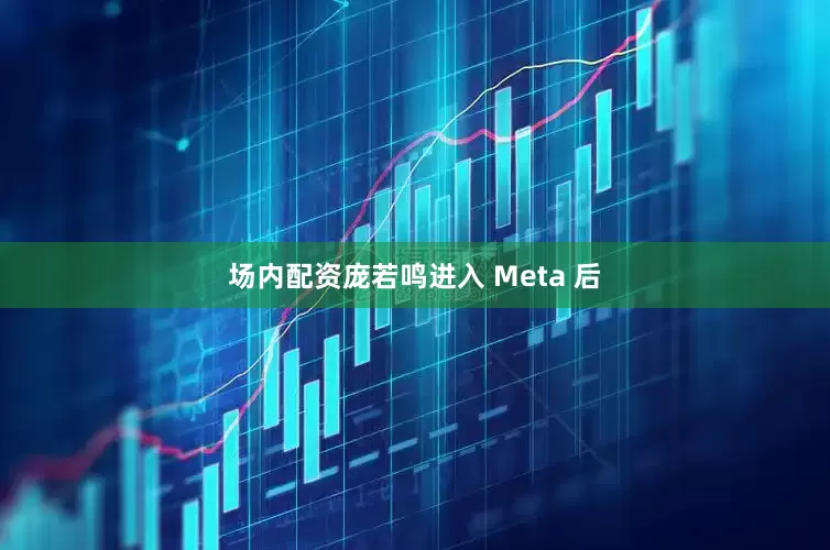 场内配资庞若鸣进入 Meta 后