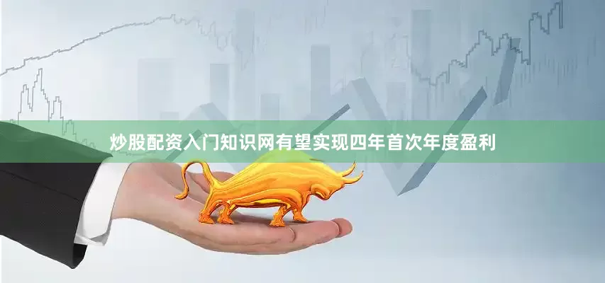 炒股配资入门知识网有望实现四年首次年度盈利