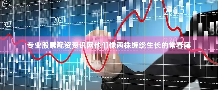 专业股票配资资讯网他们像两株缠绕生长的常春藤