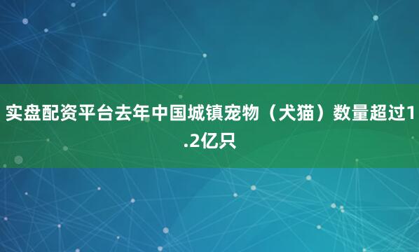 实盘配资平台去年中国城镇宠物（犬猫）数量超过1.2亿只