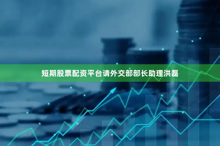 短期股票配资平台请外交部部长助理洪磊