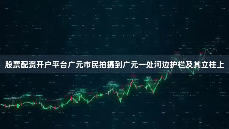 股票配资开户平台广元市民拍摄到广元一处河边护栏及其立柱上