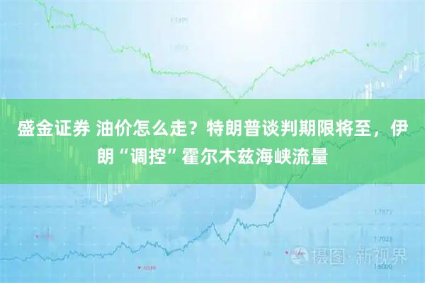 盛金证券 油价怎么走？特朗普谈判期限将至，伊朗“调控”霍尔木兹海峡流量
